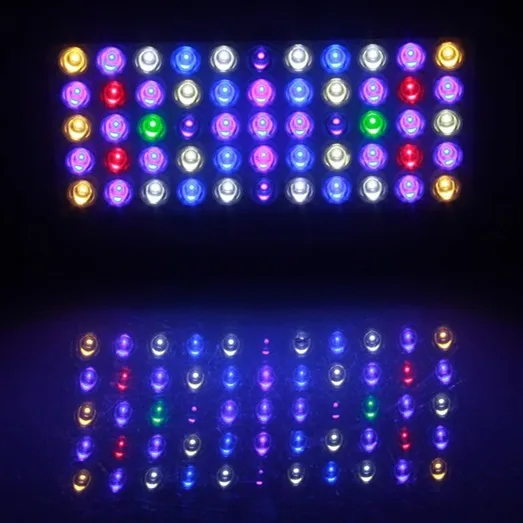 Aquarium Light -1.jpg