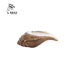 Dishes Plates Plate Restaurant Polyresin Shell Shape Of Plate And Tableware Creative Dishes For Hotel And Restaurant