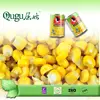 fresh manufacture price sweet corn canned