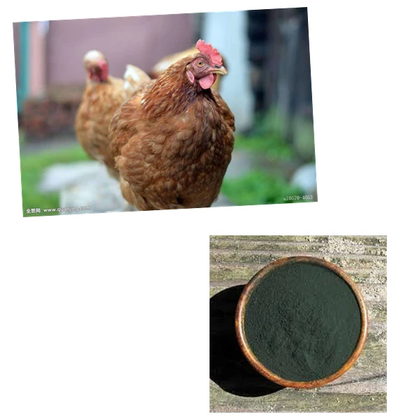 E Spirulina A 8.jpg