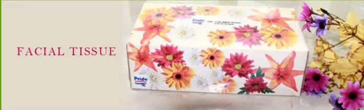 3-2.facial tissue.jpg