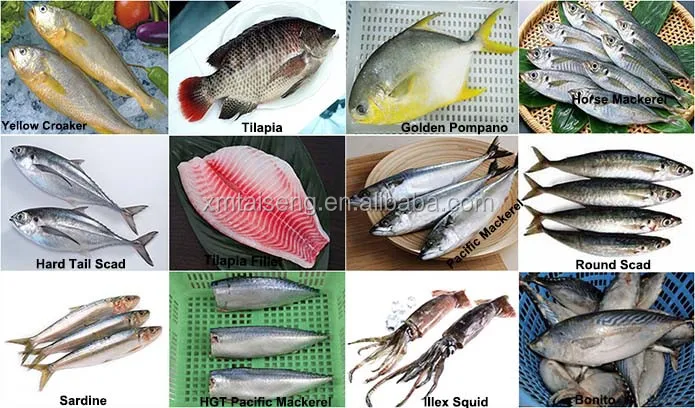 Sea Frozen Bonito 700-1000g at cheap price