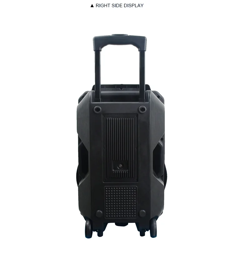 FEIYANG TEMEISHENG Newest private rechargeable trolley speaker 12inch for promotion - ANKUX.COM