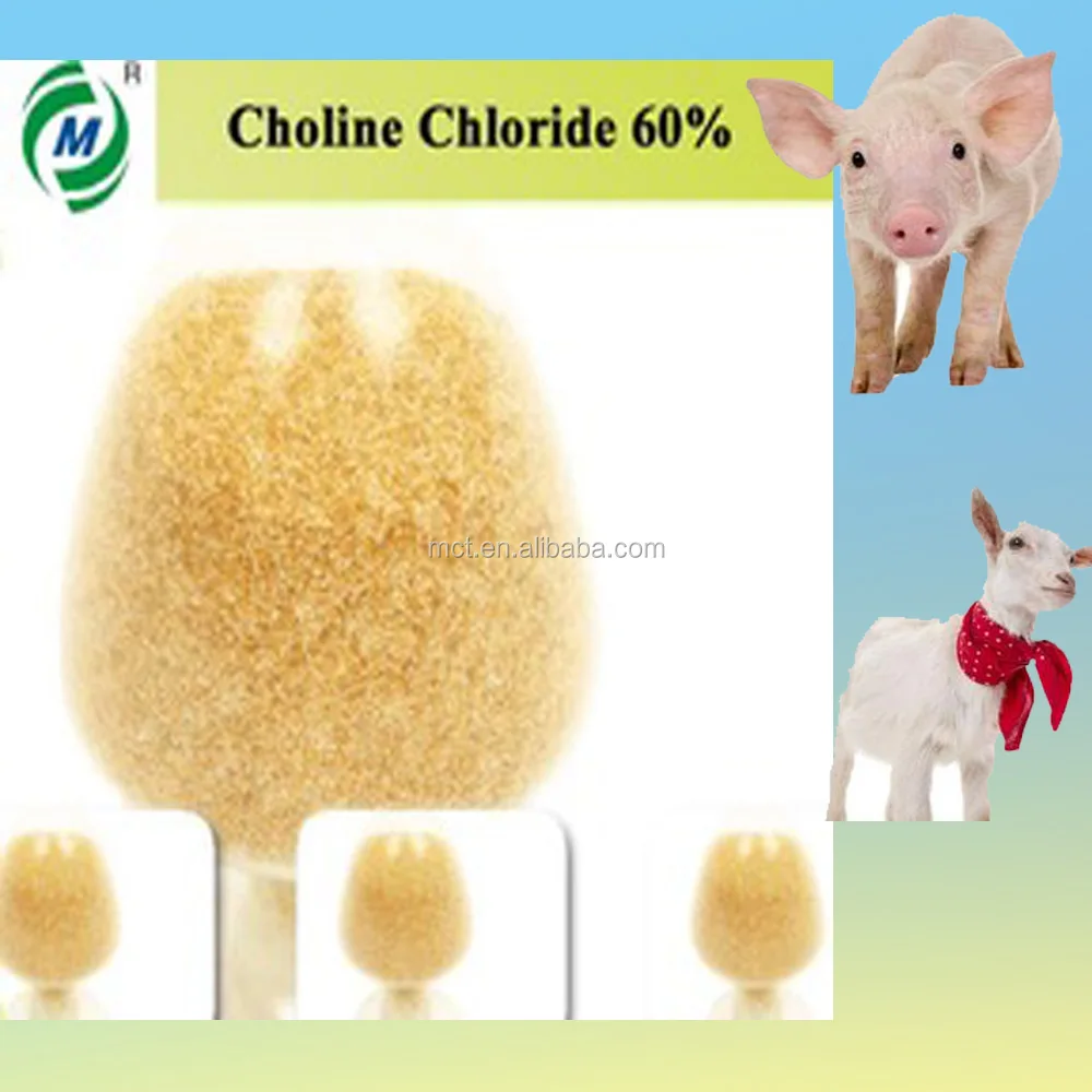 High Quality Choline Chloride 60 Animal Feed Growth Promoters For