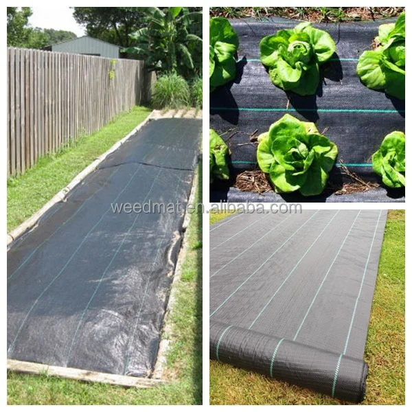 Waterproof Plastic Ground Cover Mesh Buy Ground Cover Waterproof,Plastic Ground Cover,Ground
