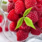 Raspberry juice beverage processing production line
