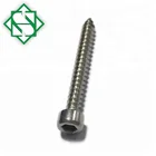 Cap Screw Hexagon Socket Cap Head Self Tapping Screw Stainless Steel