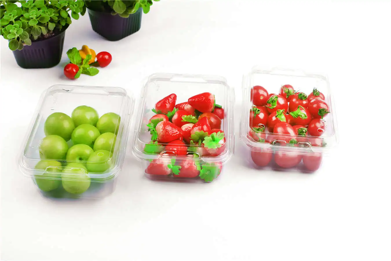 High Grade Plastic food packaging box, View plastic food packaging box