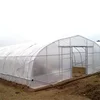 /product-detail/hot-sale-commercial-single-span-film-greenhouse-for-agriculture-62067427817.html