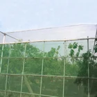 EGP plant protection plastic anti Hail/Insect net anti insect net for crop