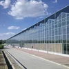 Hot-dip galvanized Venlo agricultural greenhouse manufacturers in China