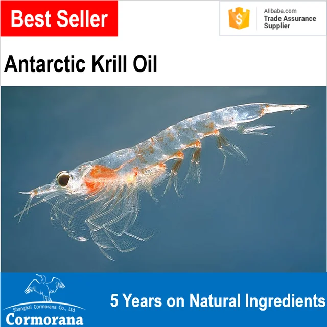 best selling 100% pure antarctic krill oil and krill oil softgel