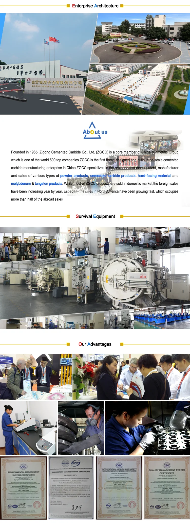 Company Information6.png