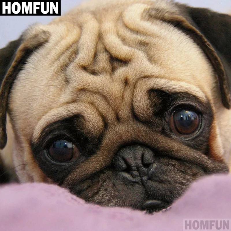 HTB18ZZ8NFXXXXbRXXXXq6xXFXXX3