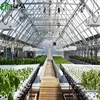 /product-detail/fm-model-agriculture-greenhouse-for-aquaponics-60719238194.html