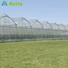 /product-detail/commercial-tropical-greenhouse-with-cooling-system-60822823604.html