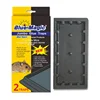 /product-detail/blue-magic-hot-sale-mouse-rat-glue-trap-for-pest-control-1972249192.html