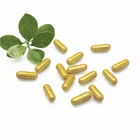 Garcinia cambogia 95% private label supplement garciniacambogia powder fat burning capsules