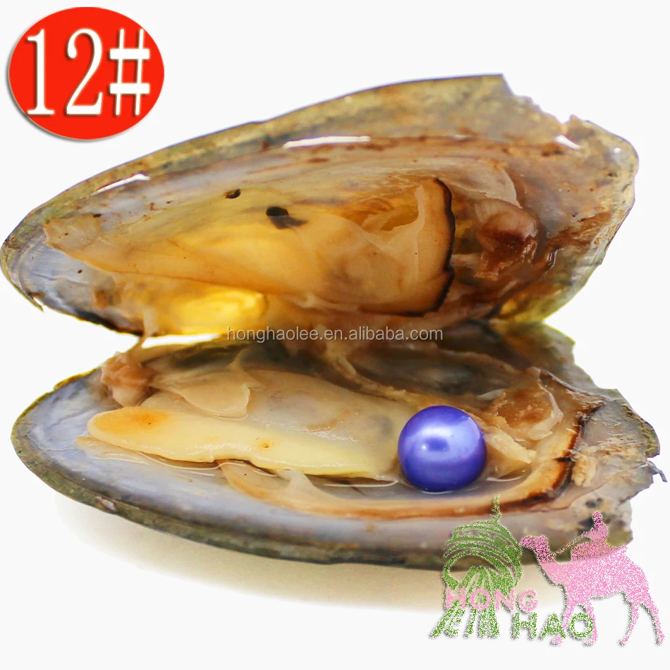 Free shipping by dhl 2-5 days wholesale AAAA Round Pearl Oyster 12# color pearls in oysters, 28 colors to choose from, N/a
Free shipping by dhl 2-5 days wholesale AAAA Round Pearl Oyster 12# color pearls in oysters, 28 colors to choose from, N/a