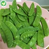 Fresh Frozen Pea Pod Snow Peas Wholesale Green Snap Peas