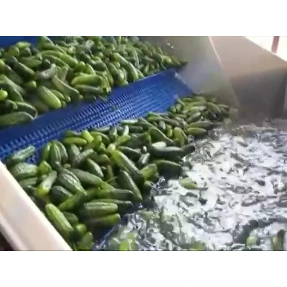 линия для консервирования огурцов. Смотреть фото линия для консервирования огурцов. Смотреть картинку линия для консервирования огурцов. Картинка про линия для консервирования огурцов. Фото линия для консервирования огурцов линия для консервирования огурцов. Смотреть фото линия для консервирования огурцов. Смотреть картинку линия для консервирования огурцов. Картинка про линия для консервирования огурцов. Фото линия для консервирования огурцов