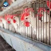 /product-detail/chicken-egg-laying-hen-cage-60244811694.html