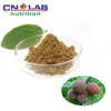 /product-detail/best-quality-fresh-lyophilized-blushwood-berry-extract-powder-freeze-dried-blushwood-berry-powder-60715182831.html