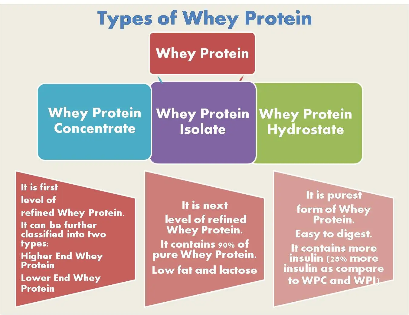 Types-of-Whey-Protein.jpg