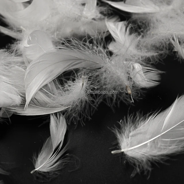 curly goose feather pads