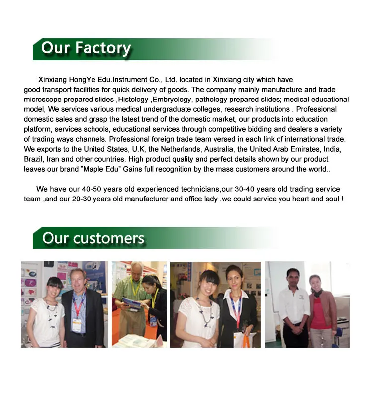 Exquisite slide case 25piece microscope prepared slides wooden box