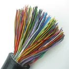 Anti Rodent UG Cat5 UTP Cable 100 Pair With Aluminum Tape Armoured