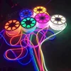 5050SM Waterproof IP65 110V flex neon color changing RGB LED Neon strip for outdoor lighting
