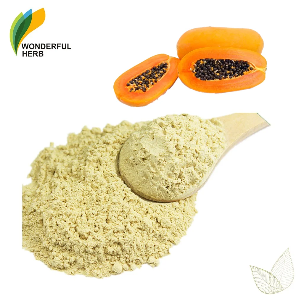 Organische Papaya fruit extract enzym Carica samen grüne trockene papaya pulver