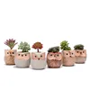 Amazon Supplier Ceramic Flowing Glaze Base Serial Set Owl Pot Succulent Plant Pot for Sale