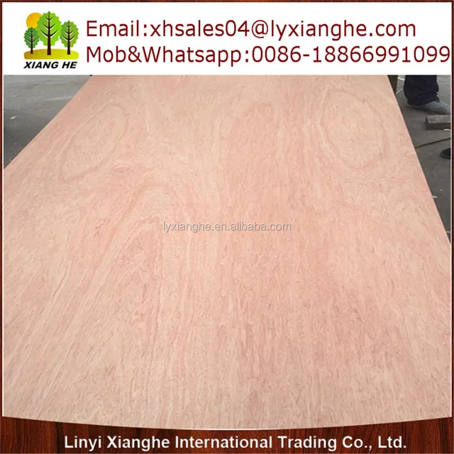 species of poplar wholesale, specy suppliers