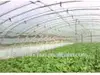 High quality agriculture greenhouse PE Film