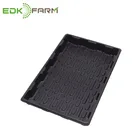 indoor microgreen hydroponics barley plant kit plastic seed growing hydroponic trays