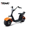 2018 Best Selling Powerful 1500W 60V Citycoco 2 Seat Electric Mobility Scooter