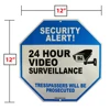 W196A CCTV Plastic Custom Reflective Octagon Surveillance Security Warning Sign Made In China