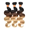 Ombre 1B/4/27 Body Wave Virgin Raw Indian/Peruvian/Malaysian/Brazilian Human Hair Weaving Mink Brazilian Hair