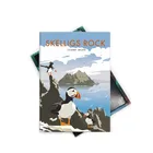 Tinplate Iceland Canada Scotland Norway Puffin Fridge Magnet Fratercula Puffin Bird Magnets