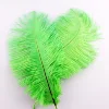 charming fluffy factory price 15-80cm ostrich feather