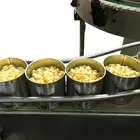 Kernel Canned Corn Canned Sweet Kernel Corn Fresh Corn