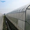 /product-detail/high-quality-steel-pipe-structure-hoop-green-house-tunnel-greenhouse-60673644792.html