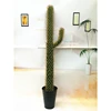 2018 New style decoration plant ,artificial cactus in pot Artificial Cactus Home Decor