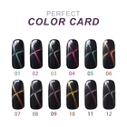 3d Polish Gel Polish Perfect ICE MA Brand OEM Magnetic 3D Chameleon Cat Eyes Gel Nail Polish With Private Label