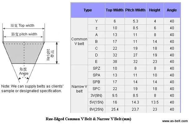 V Belts-1