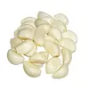 /product-detail/wholesale-chinese-peeled-garlic-cloves-60615278004.html