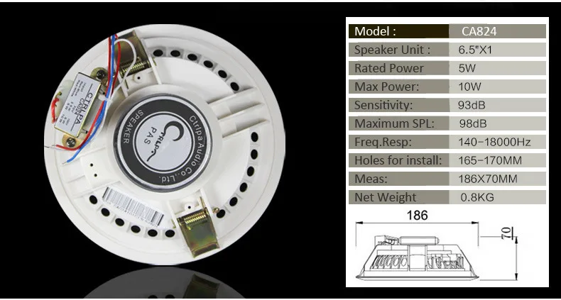 PA system ceiling speaker.jpg