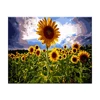 Beautiful sunflower designs fabric diy paint oil painting by numbers kits